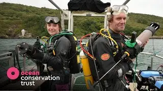 Restoring Seagrass in Plymouth Sound - HMS OCToPUS | Ocean Conservation Trust