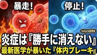【衝撃】炎症は勝手に消えない！体内の「停止スイッチ」発見で長引く不調が激変？