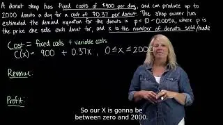 Cost, Revenue, and Profit Example