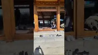 Hanok Cafe in Seoul