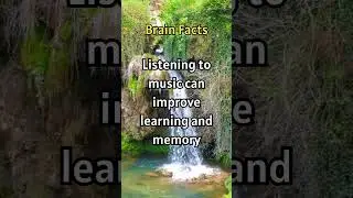 Brain Boost, How Music Enhances Your Mind! #shorts #facts #didyouknow #curiousfacts #curiosity
