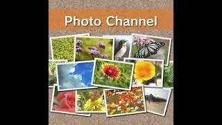 Nintendo Wii - Photo Channel OST (2006, OST/Soundtrack, MP3)