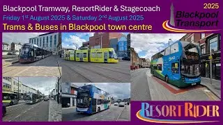 856 - Blackpool Tramway: Trams & Buses in Town Centre on Friday & Saturday 1st & 2nd August 2025