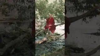 #shorts #ytshorts #1minshorts #nature #buddha #buddhist #buddhism #meditation #viral #tranding
