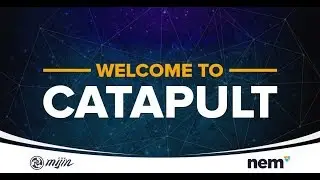 NEM: РАЗБОР ТЕХНОЛОГИИ CATAPULT? КОНКУРС НА 100 МОНЕТ XEM!