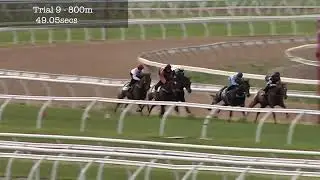 Flemington Jumpouts | 26 September 2014 | Heat 9