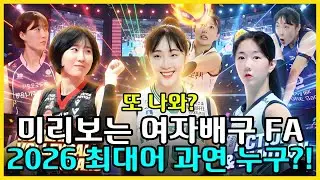 2026 여자배구 FA 충격 명단! 진짜 최대어의 행선지와 방출 위기 선수 공개