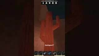Red Cactus - Roblox Oakland
