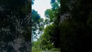 Hum 4 pagol🤭🤭#short video #shortfilm #