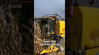 Pioneer 0937 🌽