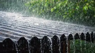 Cozy Tin House Rainstorm in Rural America | Heavy Rain & Soft Thunder Sounds (30 Min)