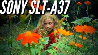 Sony Slt-A37 📸 Sample Photography - Image Quality