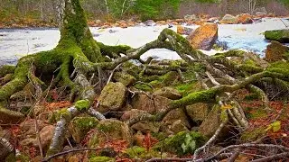 Parc National Jacques- Cartier  4k [uhd]