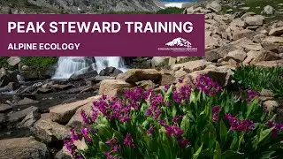 Peak Steward Training - Alpine Ecology