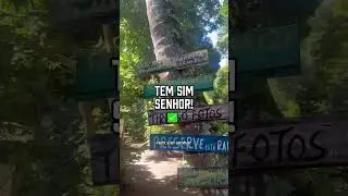 Pensando em conhecer Ilha Grande?