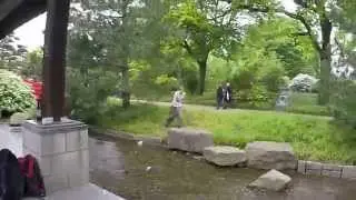 Amphi Movement clip der Woche