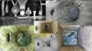 #онлайн_кормушка_для_птиц. 3 февраля 2026 года. г. Калуга