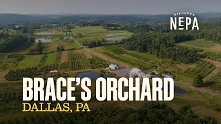 Brace's Orchard | Dallas, PA