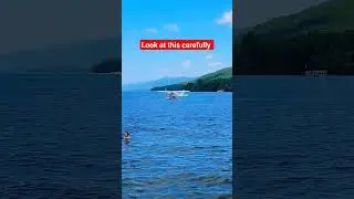 ✈️ floating over water ! #travel #iitianmajee #lakegeorge #shorts #shortvideo #trending
