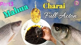 Part3 Mahua Flower Charai Se Feeder Bite/ jhumka Hooks Bite Single Hook Bite/To✅️