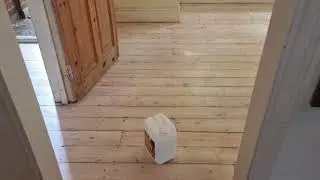 White Wash - Floor Boards Dustless Sanding - Oddly Satisfying Videos-Wood Floors