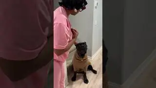 Мама купила Бэйну водолазку для работы 😭😩 #воспитываембэйна
