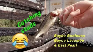 Three TOUGH but GOOD days on Bayou Bonfouca, Bayou Lacombe, and East Pearl.