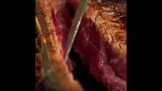 [Cosa rende cos&igrave; SPECIALE la Carne alla Griglia del Dinamo?] 🥩