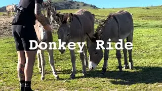 Donkey Gravel Ride through Redlands, CA