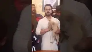 Rajab Butt with lion Cub  in police station #rajabvlog #rajabfamily#wedding#rajabvlog