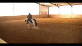 Spottie