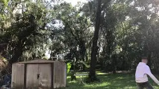 Fuliminim Short Vlog 1
