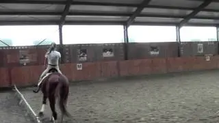 BOROWSKI EQUICOMM' - Entraînement Hans Rüben - 25/08/2014