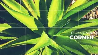 Community Corner: Being Water Smart