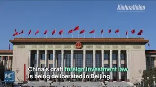 China's new foreign investment law important to global investors: expert