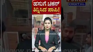 Viral Video : ಹಸುಗೆ ಚಿಕನ್ ಮೋಮೋಸ್​​ ತಿನ್ನಿಸಿದ ಪಾಪಿ ಯುವಕ;ವಿಡಿಯೋ ವೈರಲ್ | Power TV News
