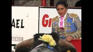 BLOODLESS BULLFIGHTS