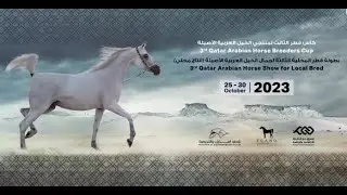 3rd Qatar Arabian Horse Breeders Cup (Day 2) - Season 2023 - 2024