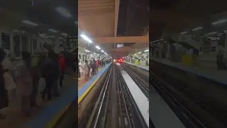 #chicago #train #cta #elevated #trainstation #transit #brown #brianreallychicago #trainride #urban