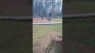 Keen PT Ranger camera! Who else uses these?