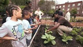 What is Green City Force?