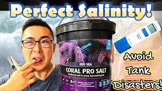 Perfect Salinity for Reef Tanks Revealed! 🌊