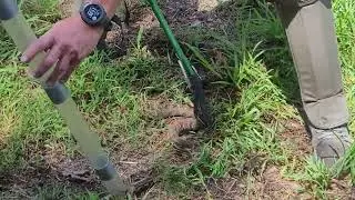 Catch and Release Timber Rattle Snake Jim Thorpe PA