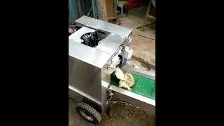 Coconut peeling machine. #coconut #coconutoil #coconutpeelingmachine #Coconutshellremover