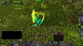 Как получить боевого питомца Полли в MoP Classic WoW