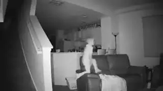 Dad Sets Up Hidden Security Camera, At 2 A M  Captures 6 Year Old Acting Creepy