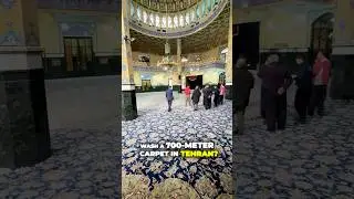 Washing a 700-meter square mosque carpet😮✨#carpet #rug #carpetcleaning