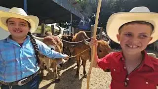 DESFILE DE CARROS DE BOI ACOMPAMOS DESDE O PASTO ATÉ DIVERSOS PONTOS NAS RUAS 