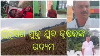 ପ୍ରଦୂଷଣ ମୁକ୍ତ ଯୁବ କୃଷକଙ୍କ ଉଦ୍ୟମ 