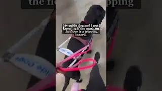 Better safe than sorry 😅 #guidedogs #blind